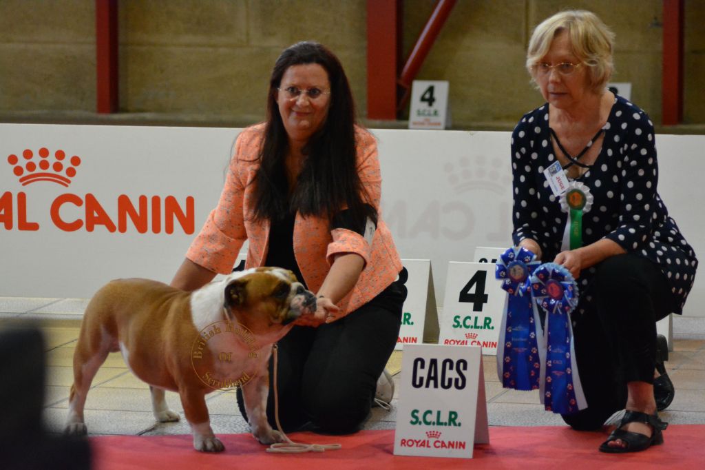 British Bulldog Of Scrubland - Le 25 aout 2018 - CACS Narbonne - Spéciale de race